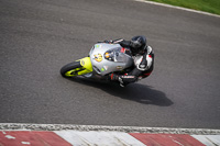 Middle Group Silver_Grey Bikes